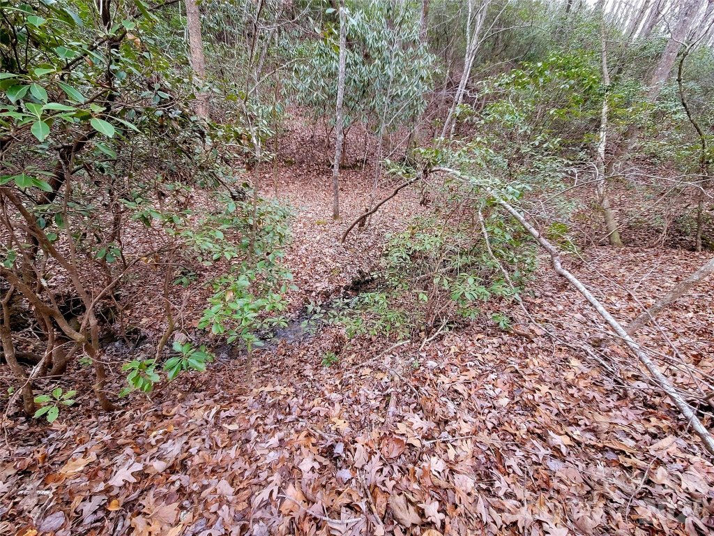 0 Birddog Boulevard 328