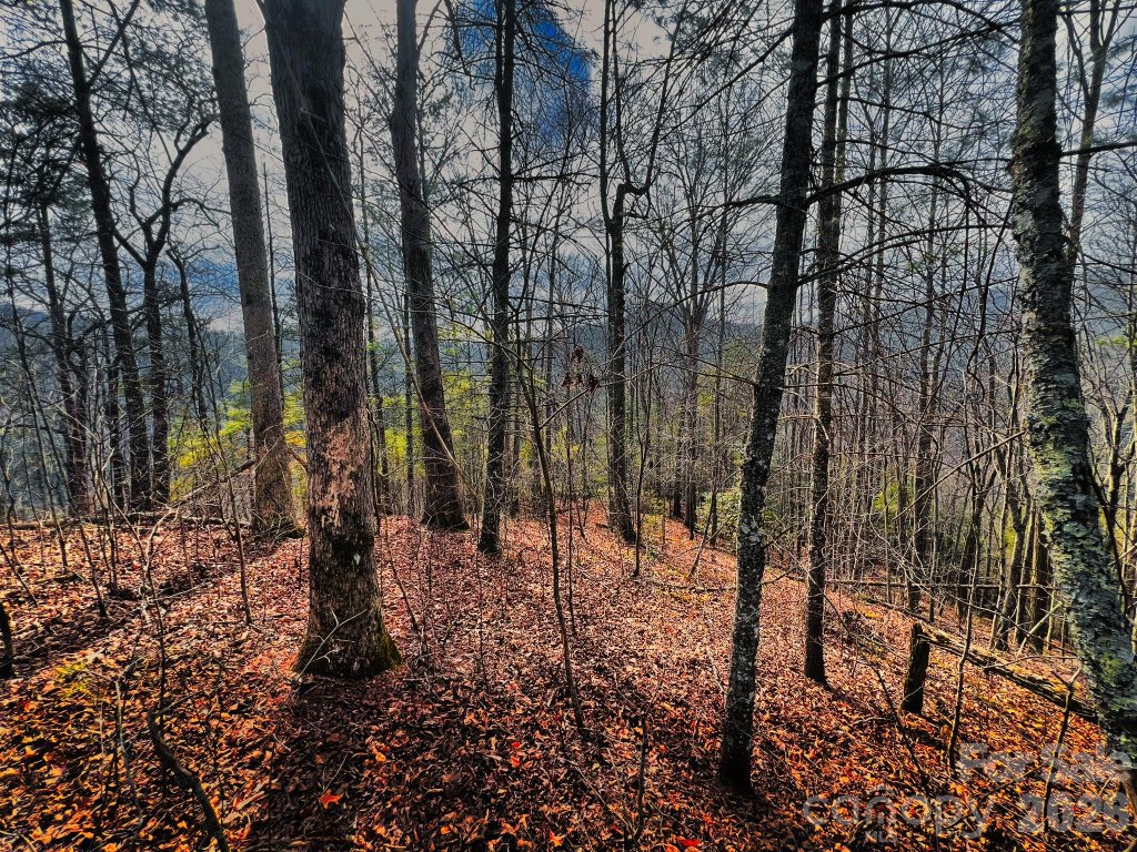 232 Thorncliff Road 82