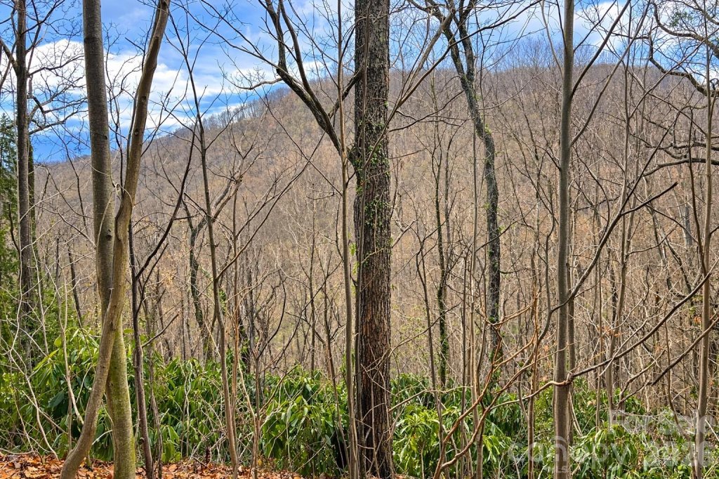 11 Majestic Overlook Way 36