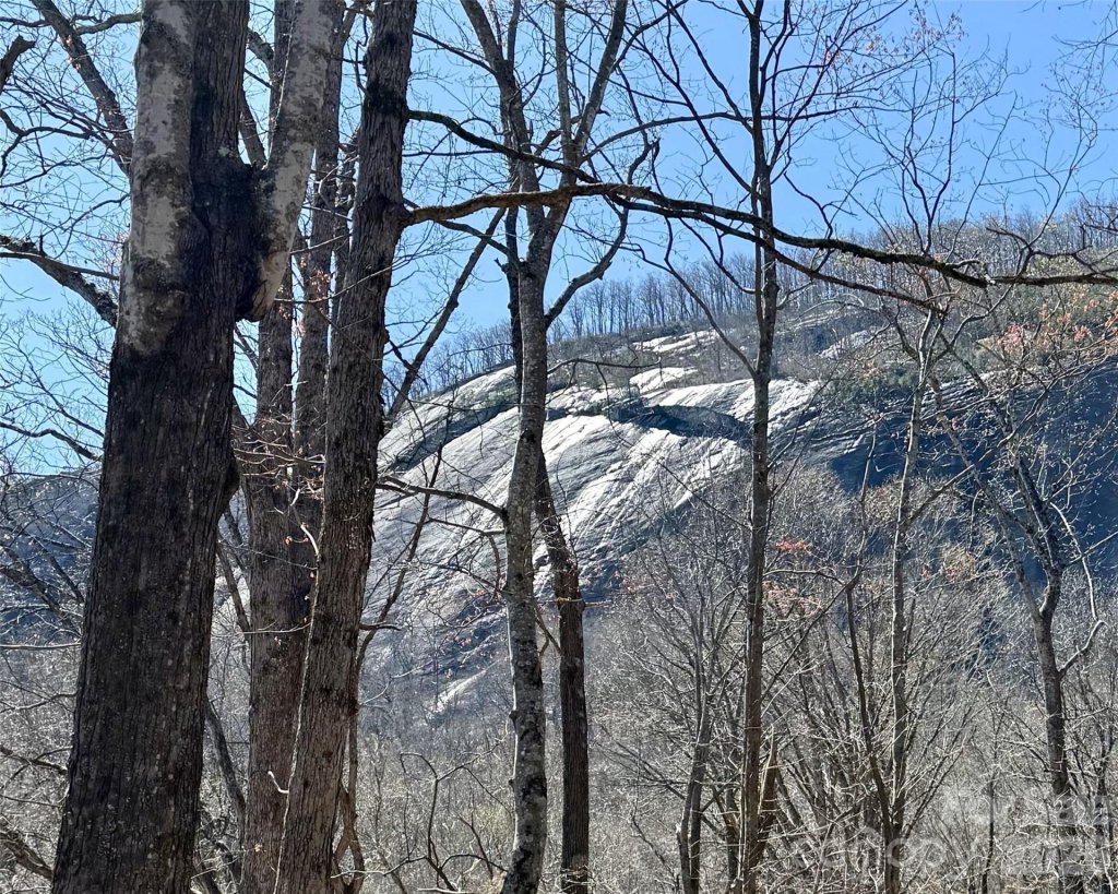 Lot 229 Swallow Lane