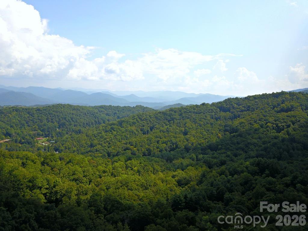 Mountain Forest Estates, Sylva community