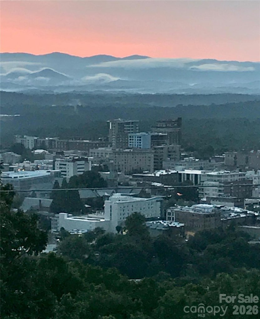 Windswept Views, Asheville community