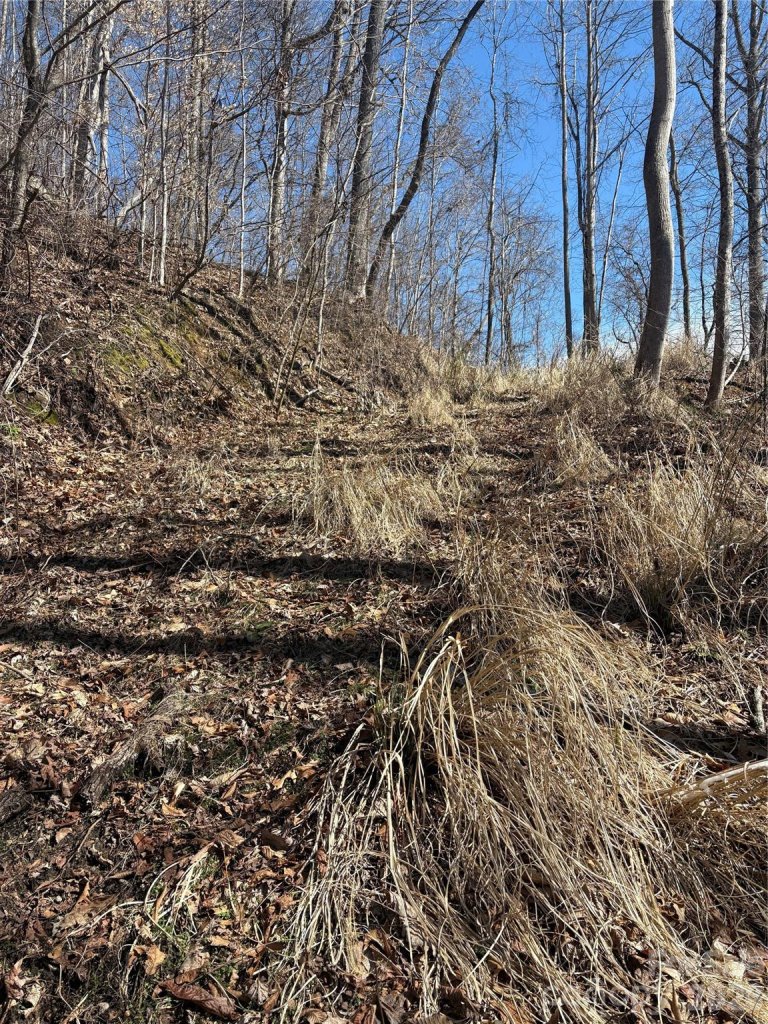 344 Running Deer Lane 71