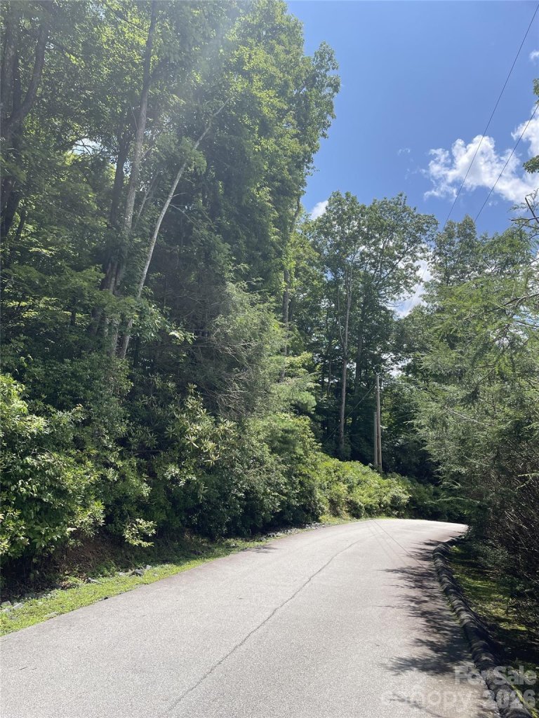 00 Winterstar Loop 17