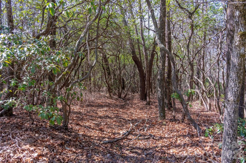 Lot 14 Lakeside Drive