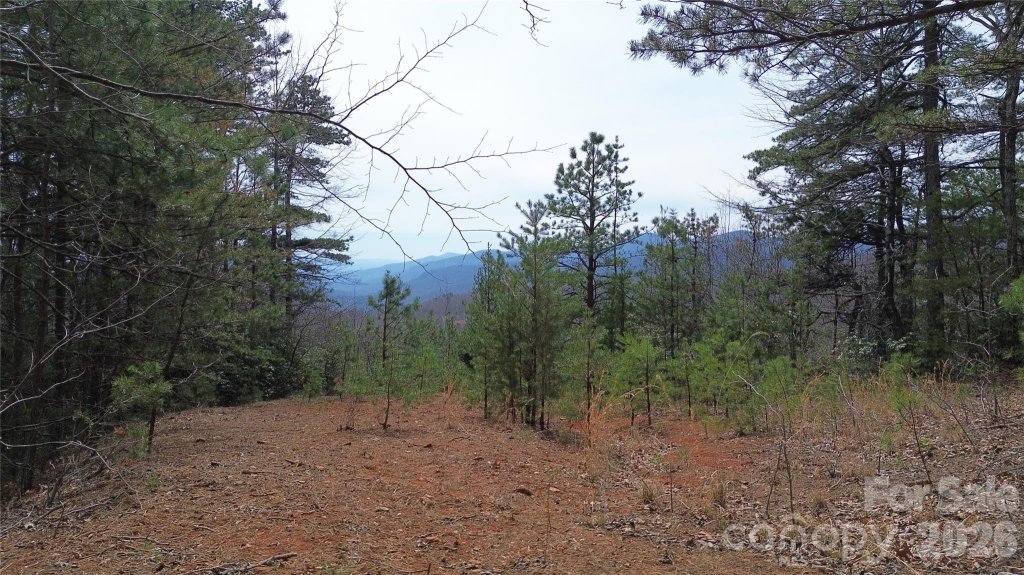 850 Harmonys Edge Drive