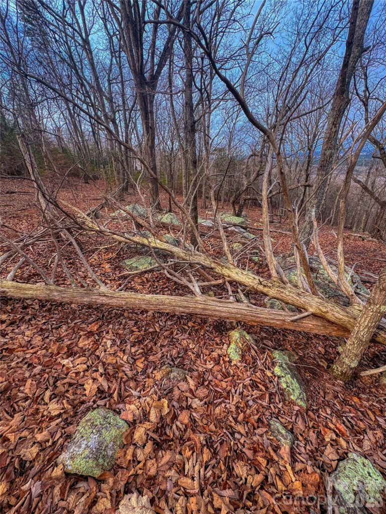 2243 Sierra Trace Road