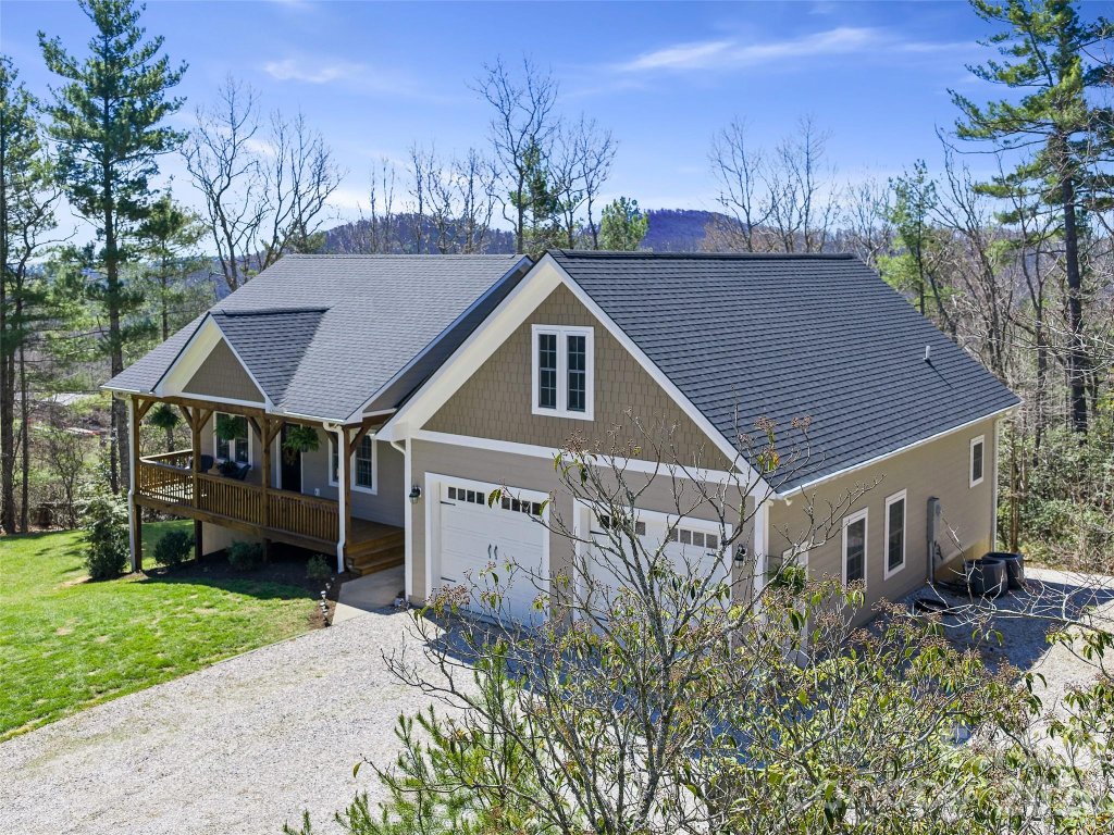 Humpback Mountain, Spruce Pine community