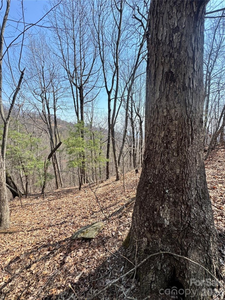 0000 Pinnacle Parkway