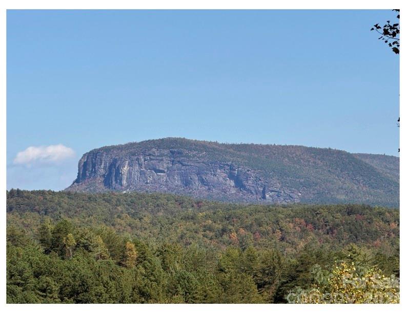 Lot 4 Pisgah Preserve Drive