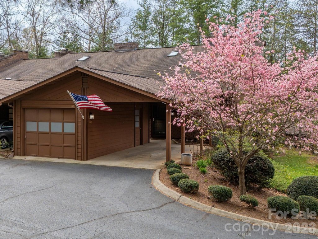 Woodfield Condos, Asheville community