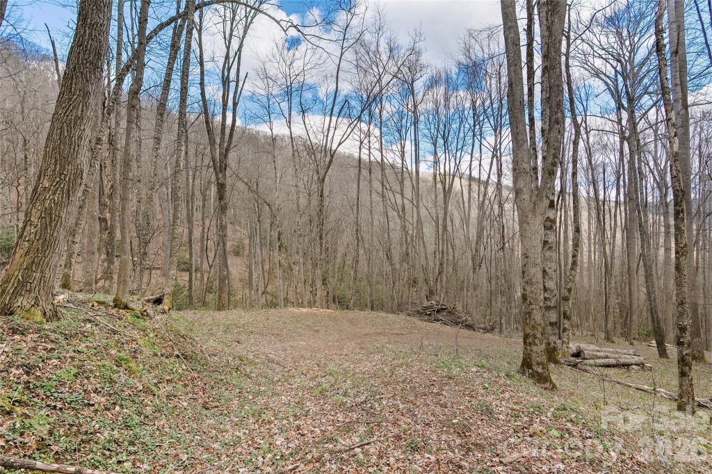 Big Laurel Inc, Waynesville community