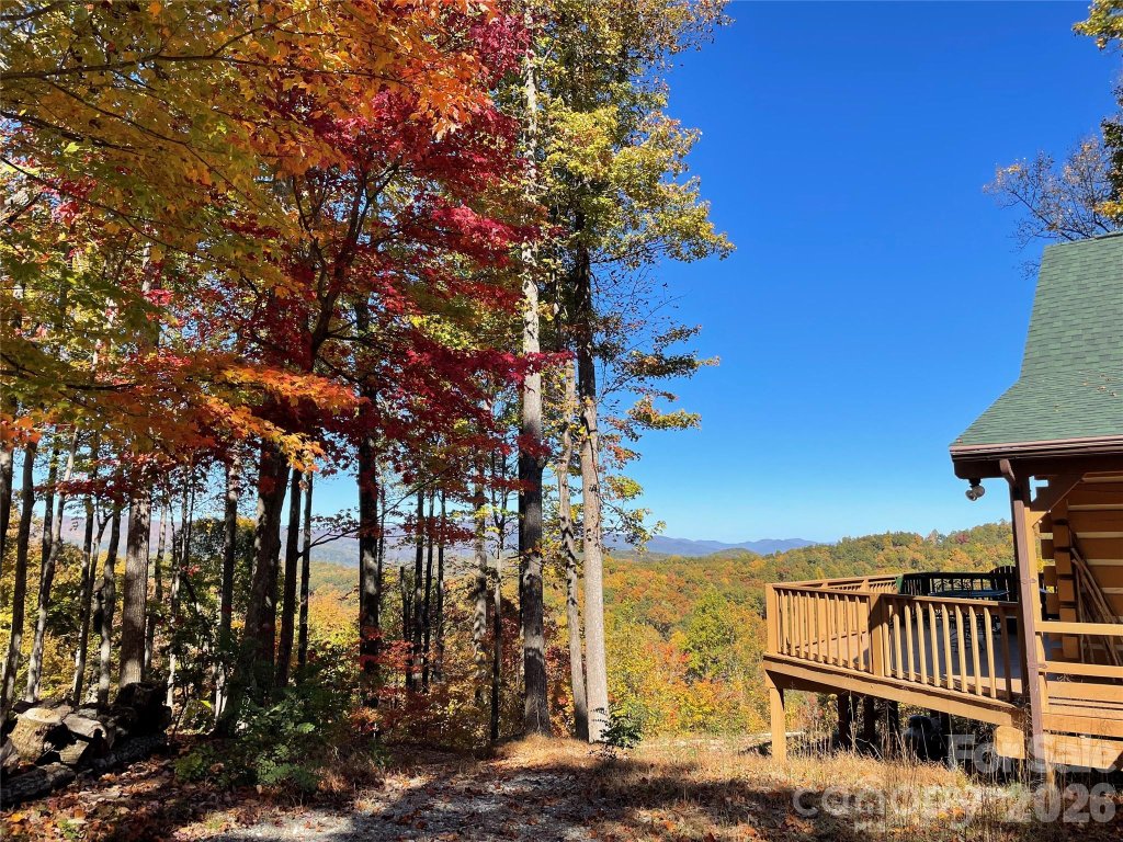 The Forest At Rixhaven, Saluda community