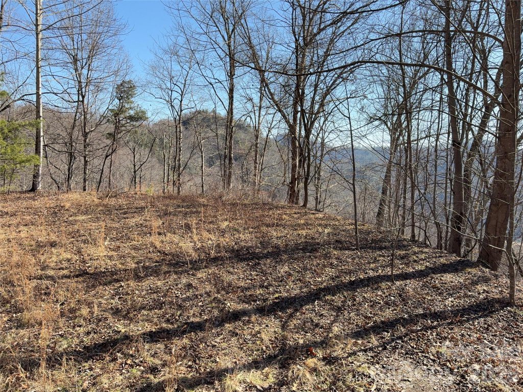 0 Brush Creek Road