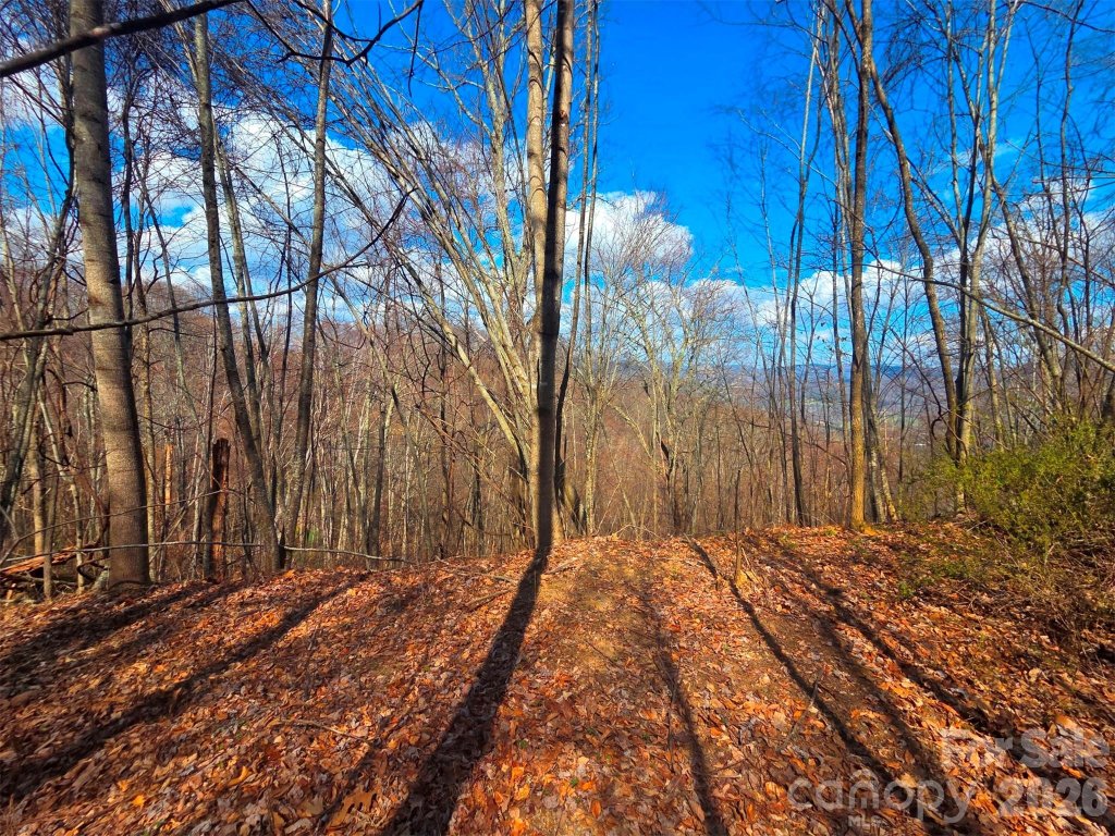 Utah Mountain Estates, Waynesville community