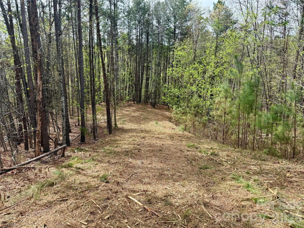 Lot 488 Bella Vista Way
