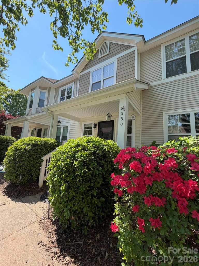 Townhomes At Birkdale Village, Huntersville community