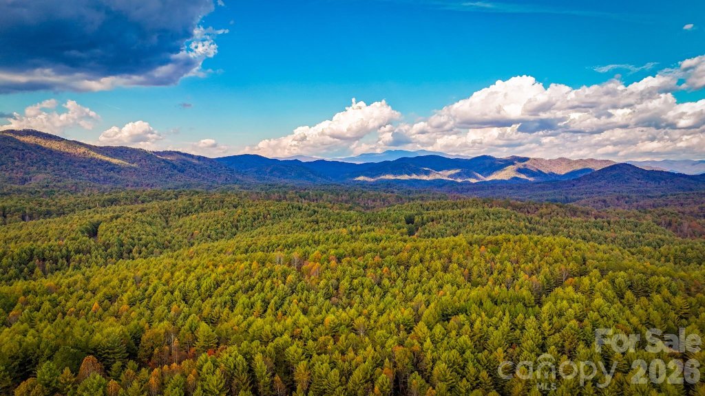 The Bluffs Of Wilson Creek, Collettsville community