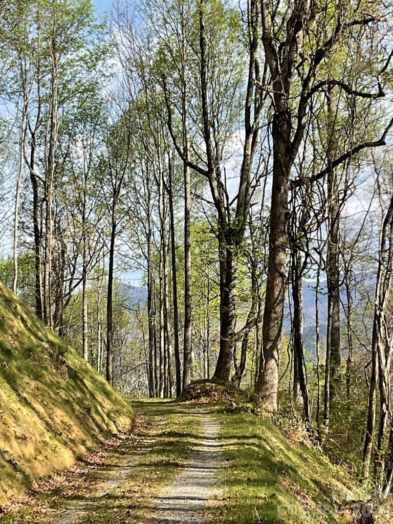 High Hickory, Swannanoa community