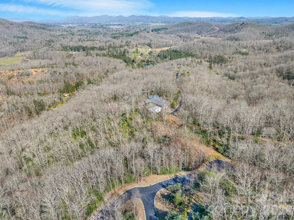 The Homestead At Mills River, Horse Shoe community