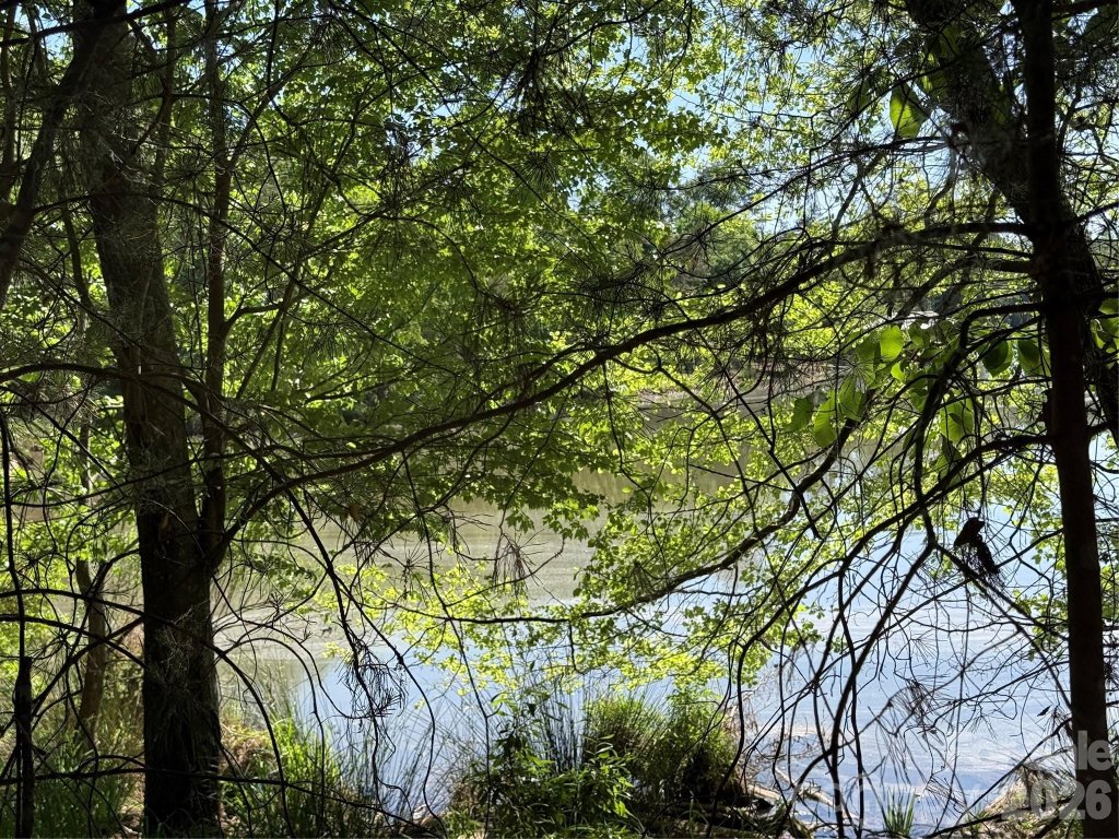 18524 Mainsail Court