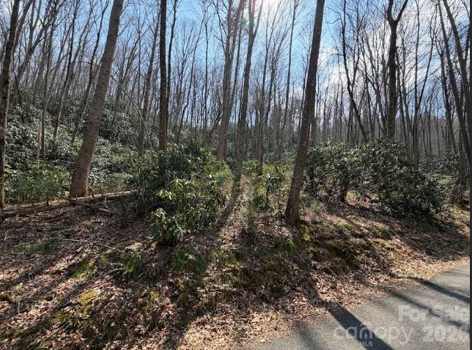Tbd Coyote Hollow Road