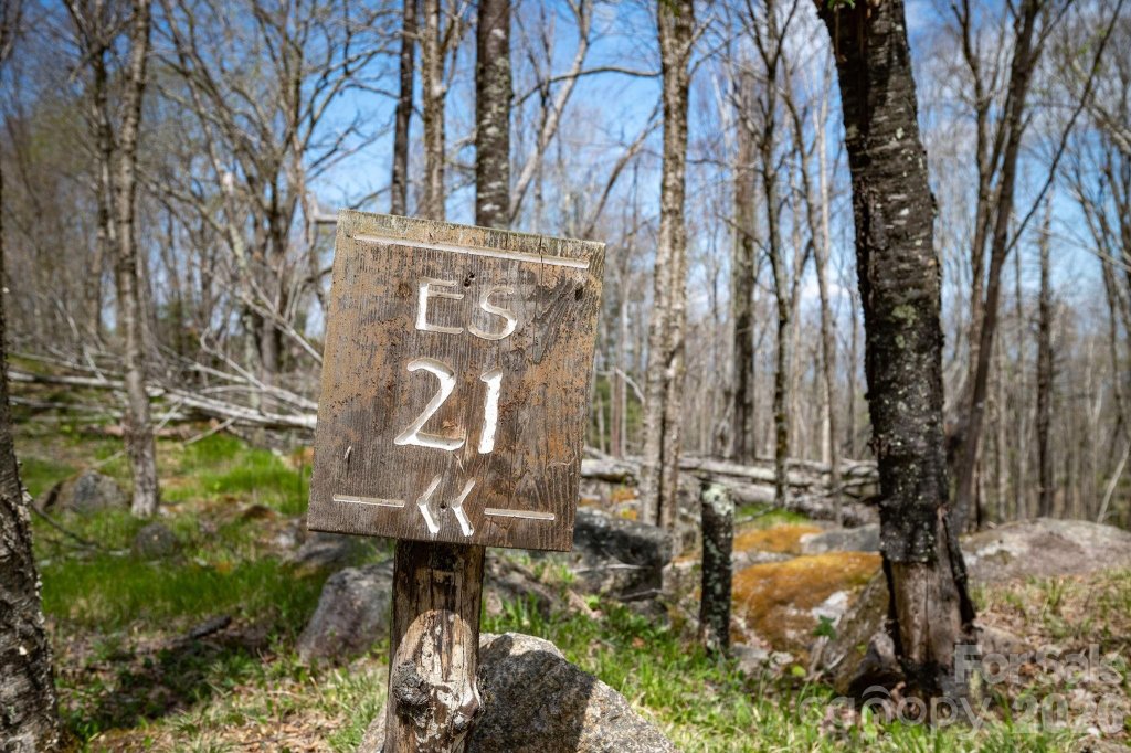 Es 21 Eagle Springs Trail