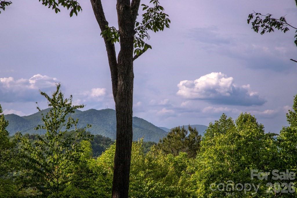 339 Honey Locust Trail