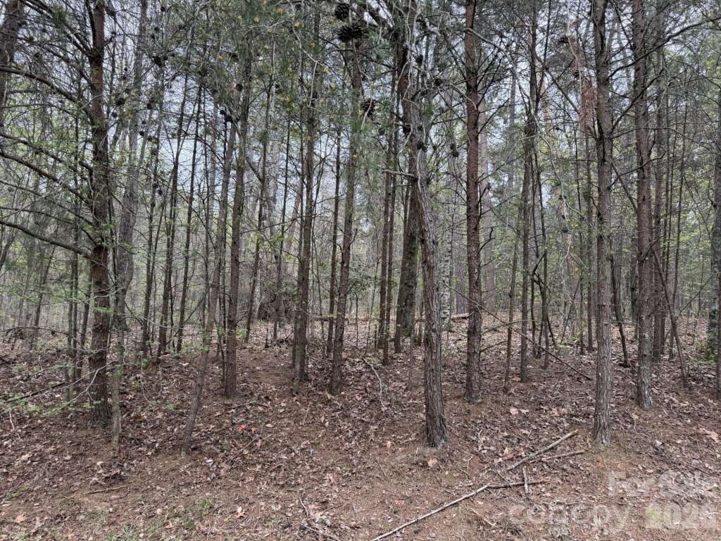 0 Whisper Lake Drive