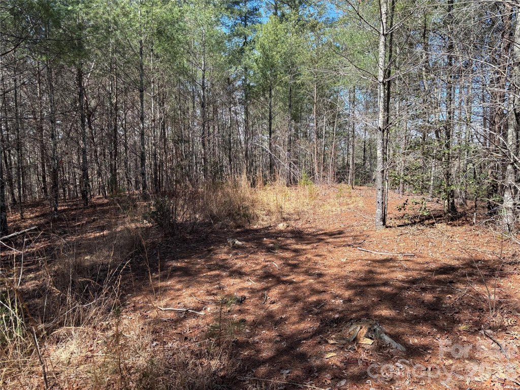 2042 Shadow Ridge Trail
