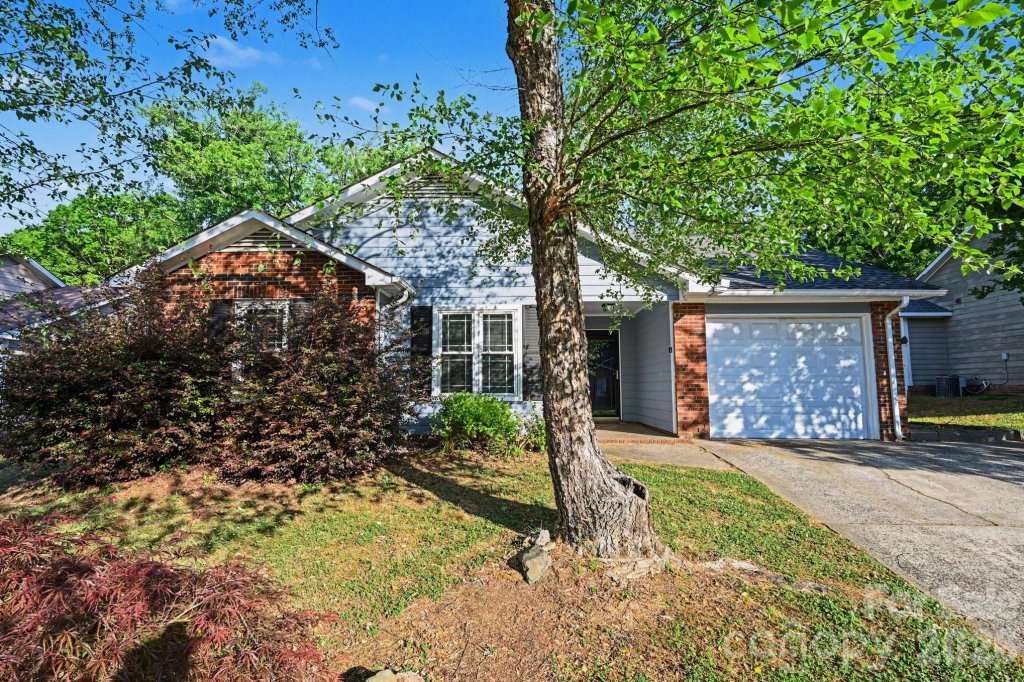 3209 Green Meadow Way