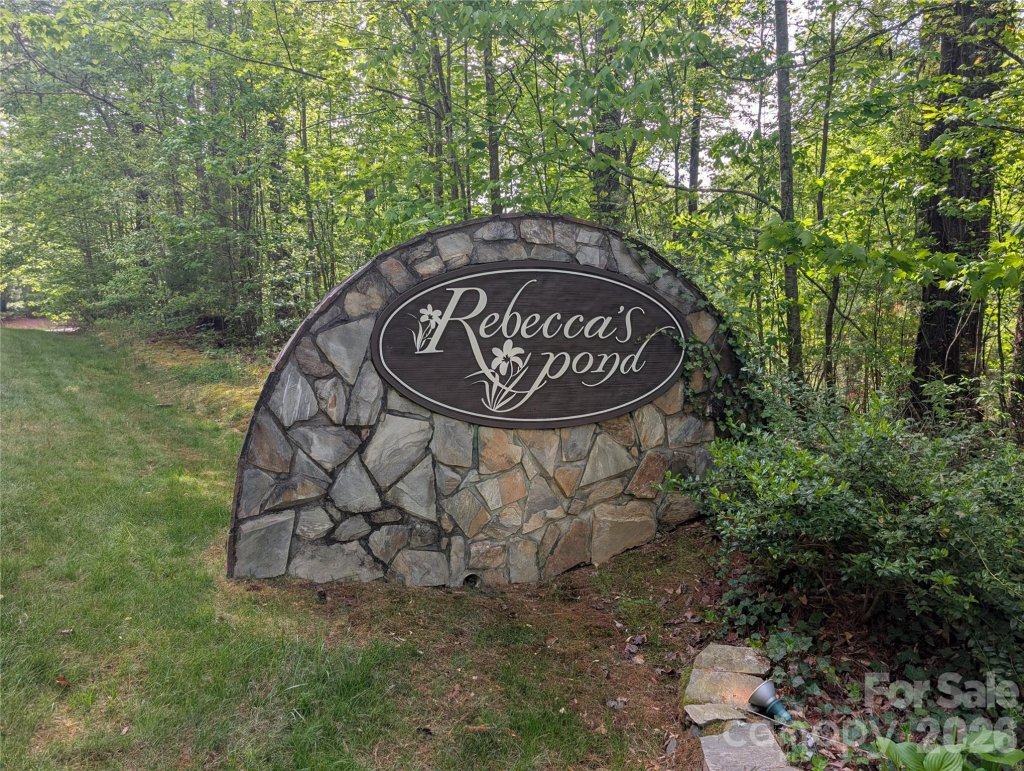 Rebeccas Pond, Hendersonville community