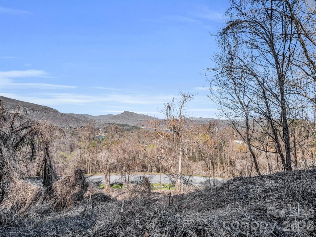 Highlands Of Lake Lure, Lake Lure community