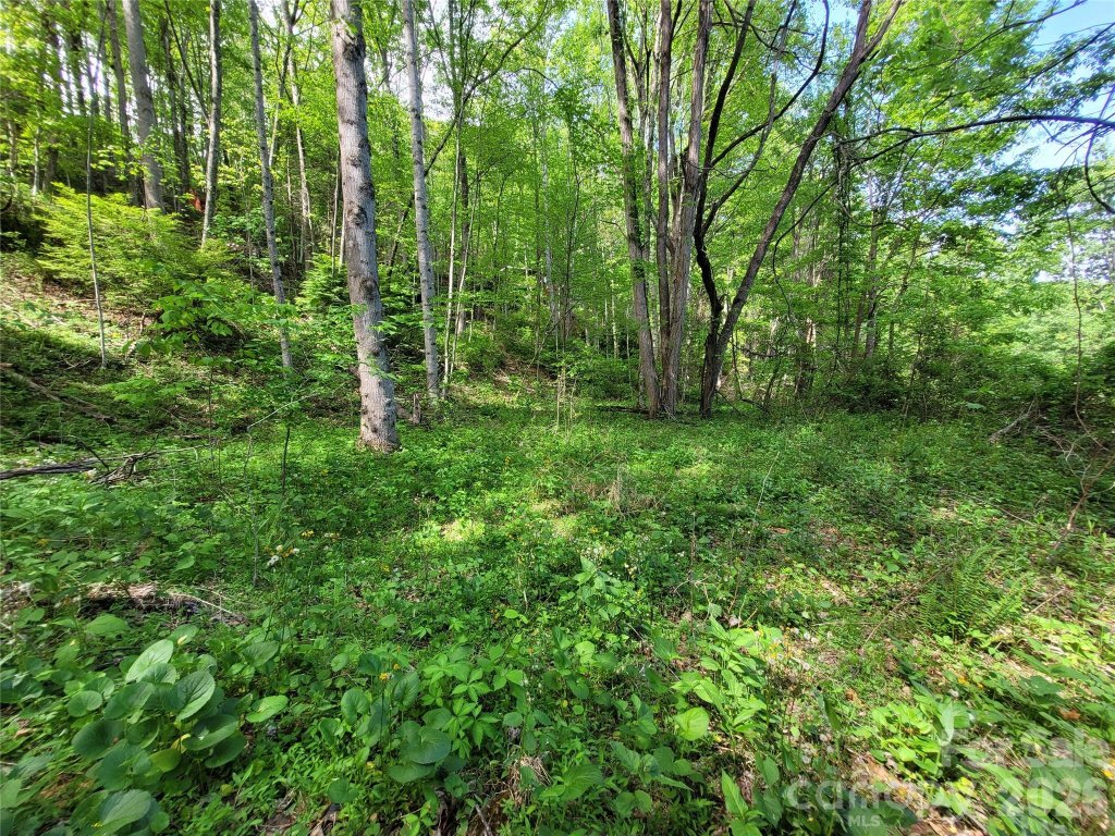 Fox Run, Waynesville community