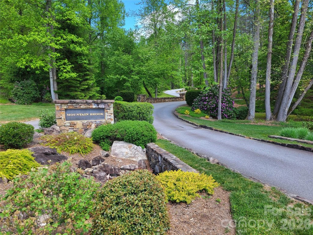 Mountain Brook, Brevard community