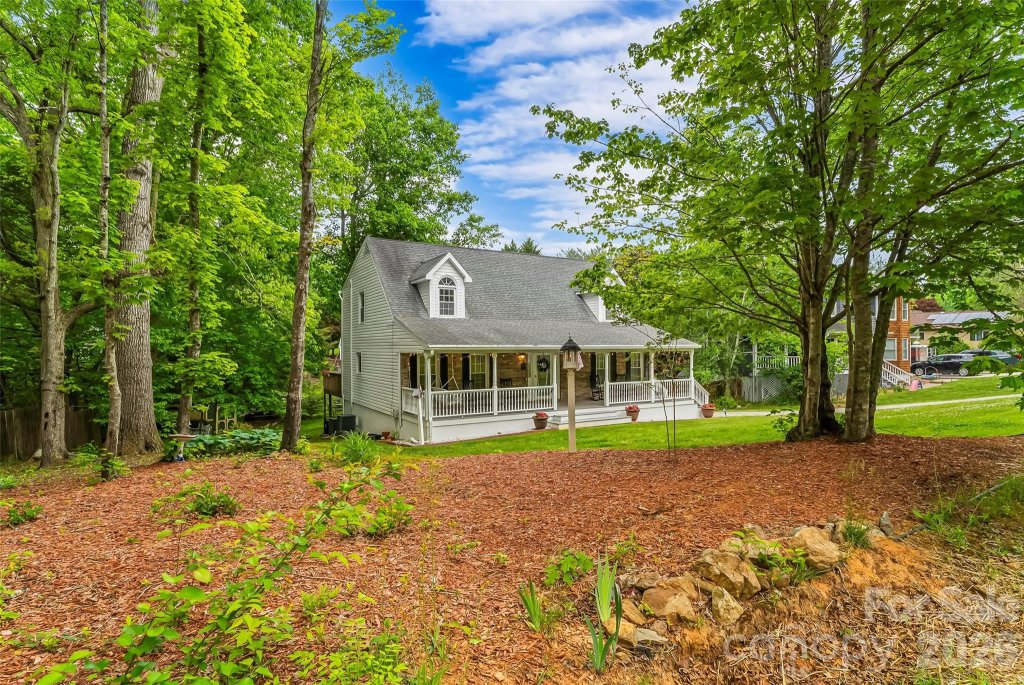 Forest Hills, Black Mountain community
