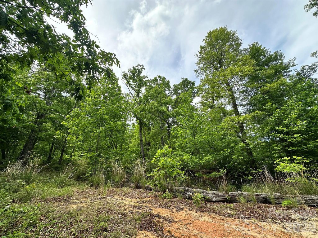 Bird Creek Estates, Black Mountain community