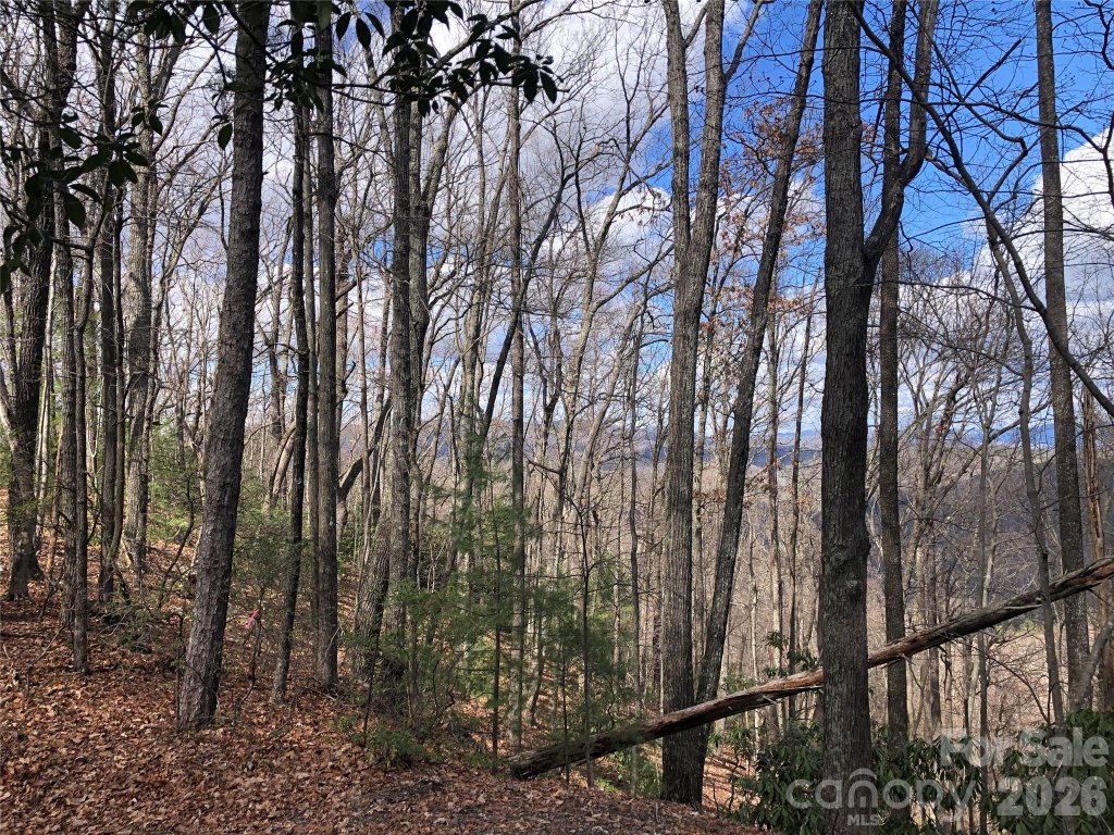 Tbd Bobcat Mountain Road