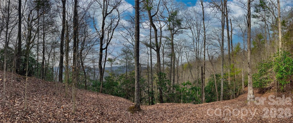 Lot 127 Bear River Lodge Trail
