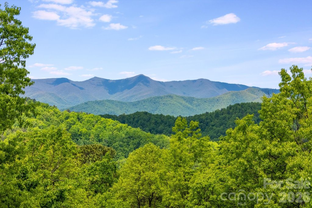High Rock Acres, Black Mountain community
