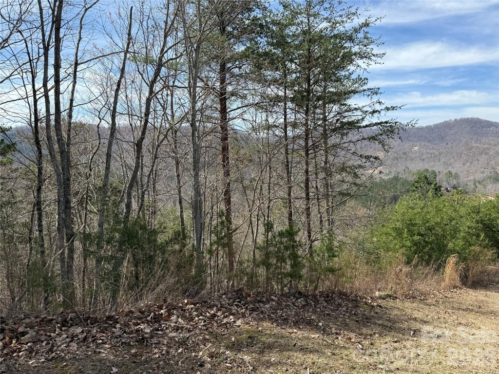 Lot 165 Pinegrove Drive