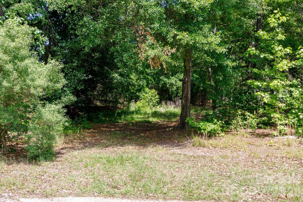 Harlinsdale, Rock Hill community