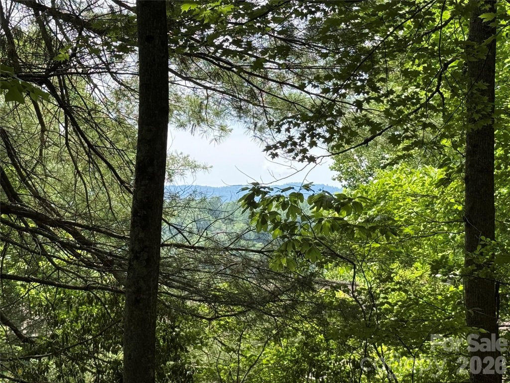 0000 Hardwood Summit Drive