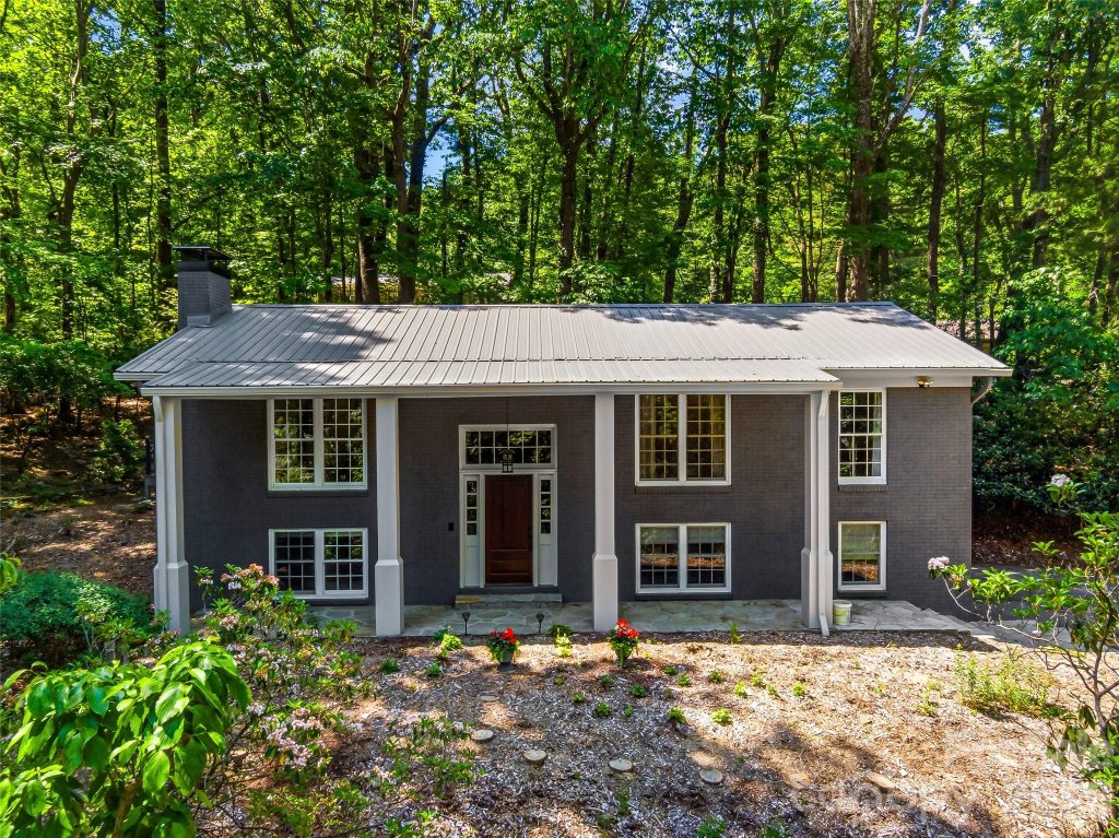 Laurel Park, Hendersonville community