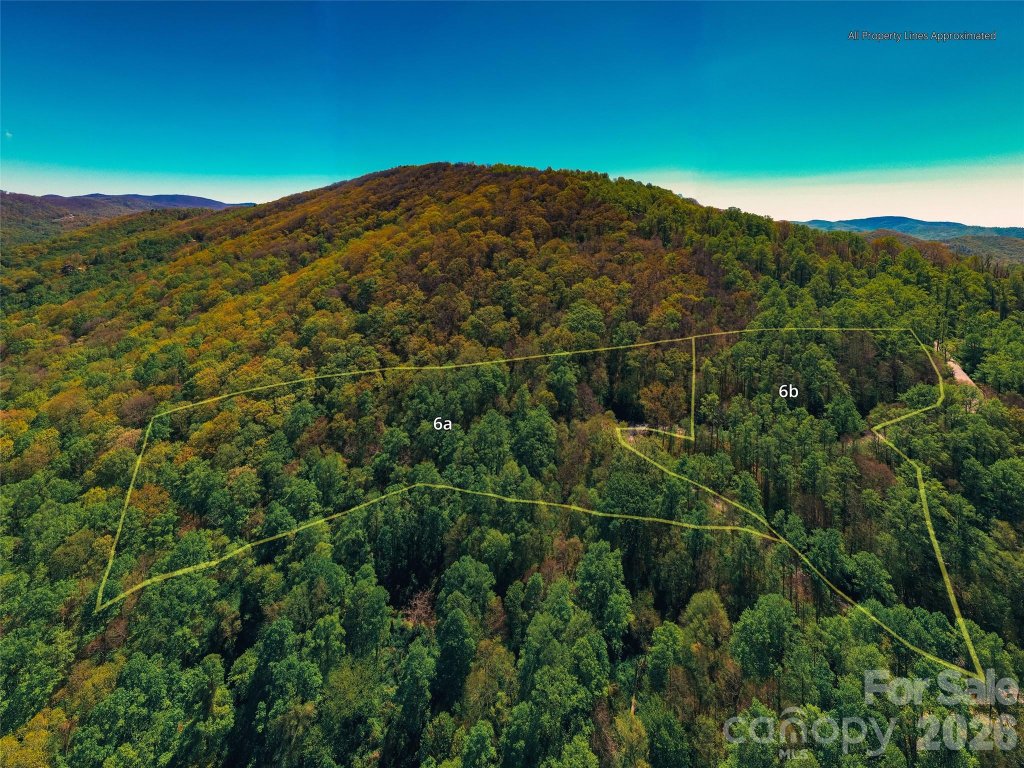 58 64 Flora Rose Trail