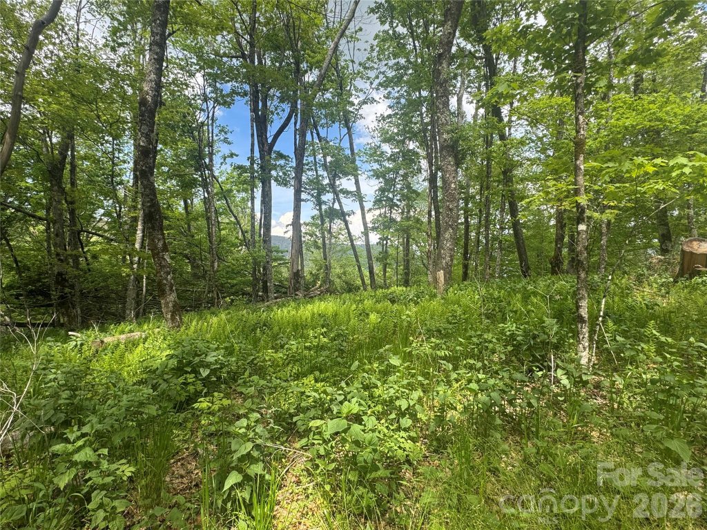 1026 Wolfs Head Court