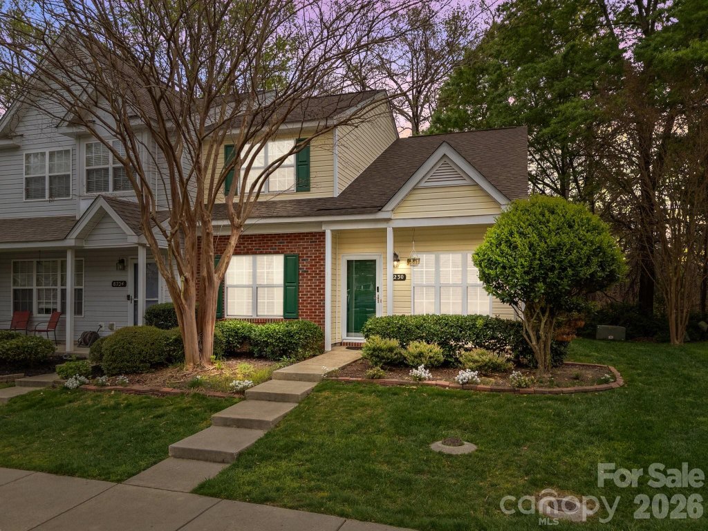8230 Rudolph Road