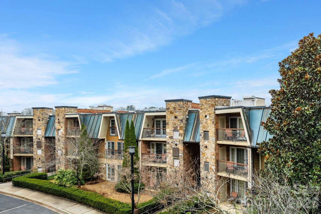 Residences At Biltmore, Asheville community