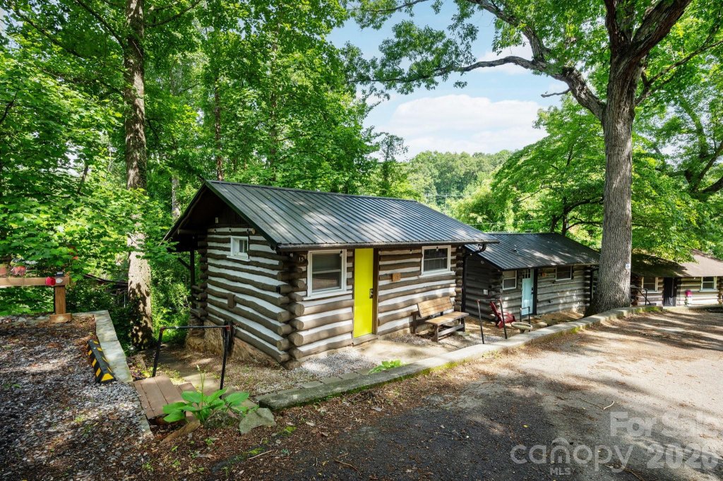 Homeland Park, Asheville community