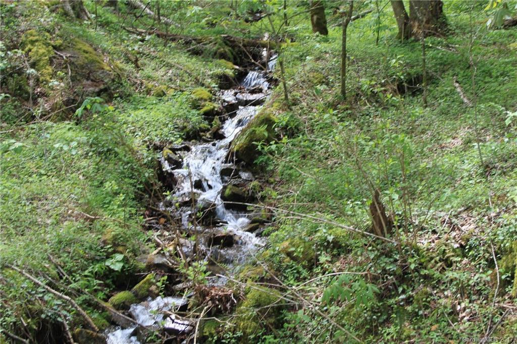 0000 Big Spring Trail 61,69